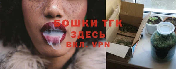 spice Абаза