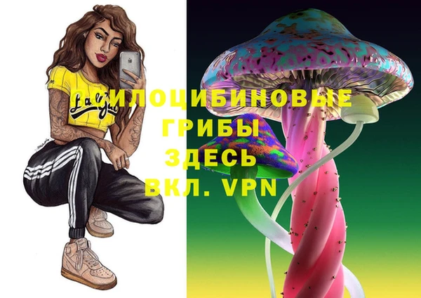 spice Абаза