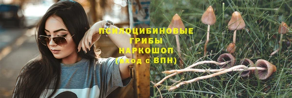 соль ск Абдулино