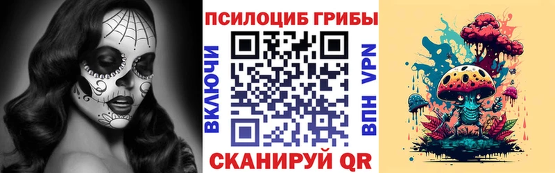 Псилоцибиновые грибы GOLDEN TEACHER  мега сайт  Томари  магазин продажи  